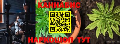 стаф Бийск