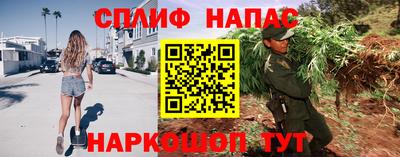 стаф Бийск