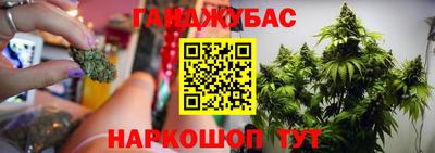 стаф Бийск