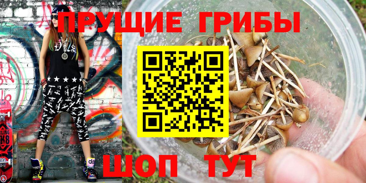 Псилоцибиновые грибы ЛСД  Вход с VPN  Великий Новгород 